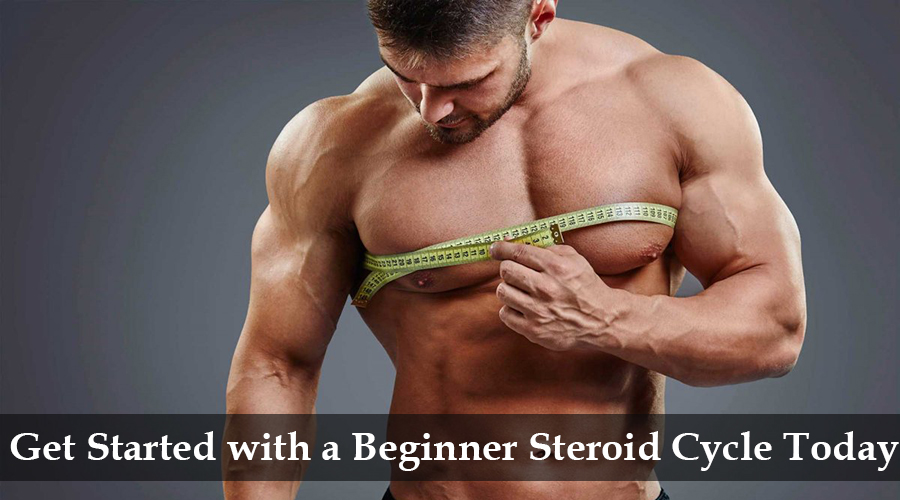 beginner steroid cycle for sale