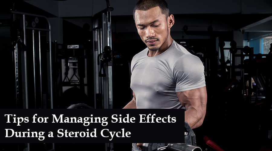 beginner steroid cycle for sale